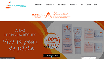 VEA France - Référencement naturel