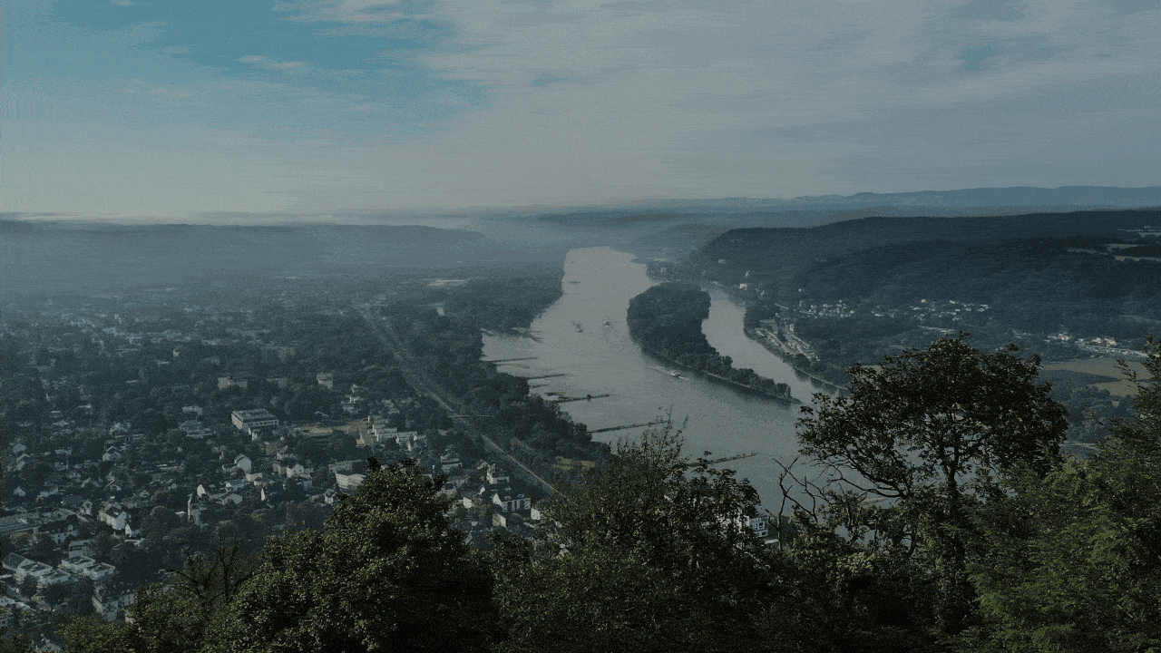 SEG Bonn | Branding - Webseitengestaltung