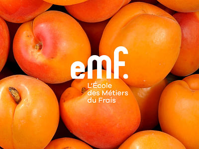 IDENTITÉ DE MARQUE - Image de marque & branding