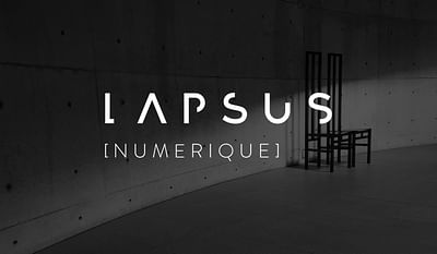 Créations visuelles pour Lapsus Numérique - Image de marque & branding