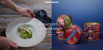 Consorcio.eu - SEO