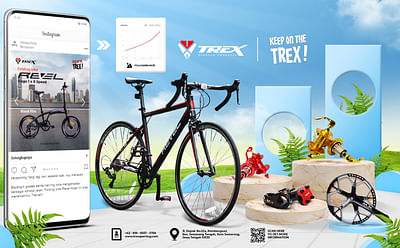 Digital Marketing Strategy for Trex Sporting - Publicité en ligne
