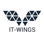 IT-WINGS GmbH logo