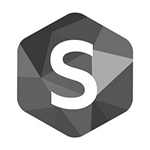 Schleier IT logo