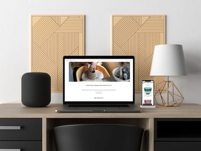 Vigour & Skills - Site e-commerce - Markenbildung & Positionierung