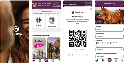 EQUIVA App - Développement de Logiciel