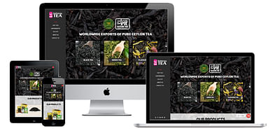 Tea Export Website - Graphic Design