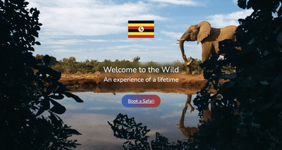 Travel agency website - Website Creation