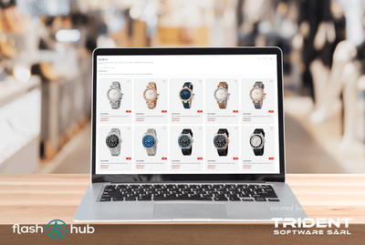 Flashhub Online Store - Web Application