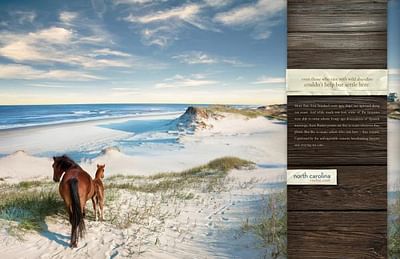 WILD HORSES - Advertising