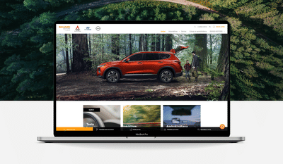 SKANDI MOTORS website development - Graphic Design
