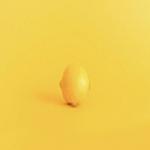 The Limón Agency | Agencia de Marketing Digital | Barcelona