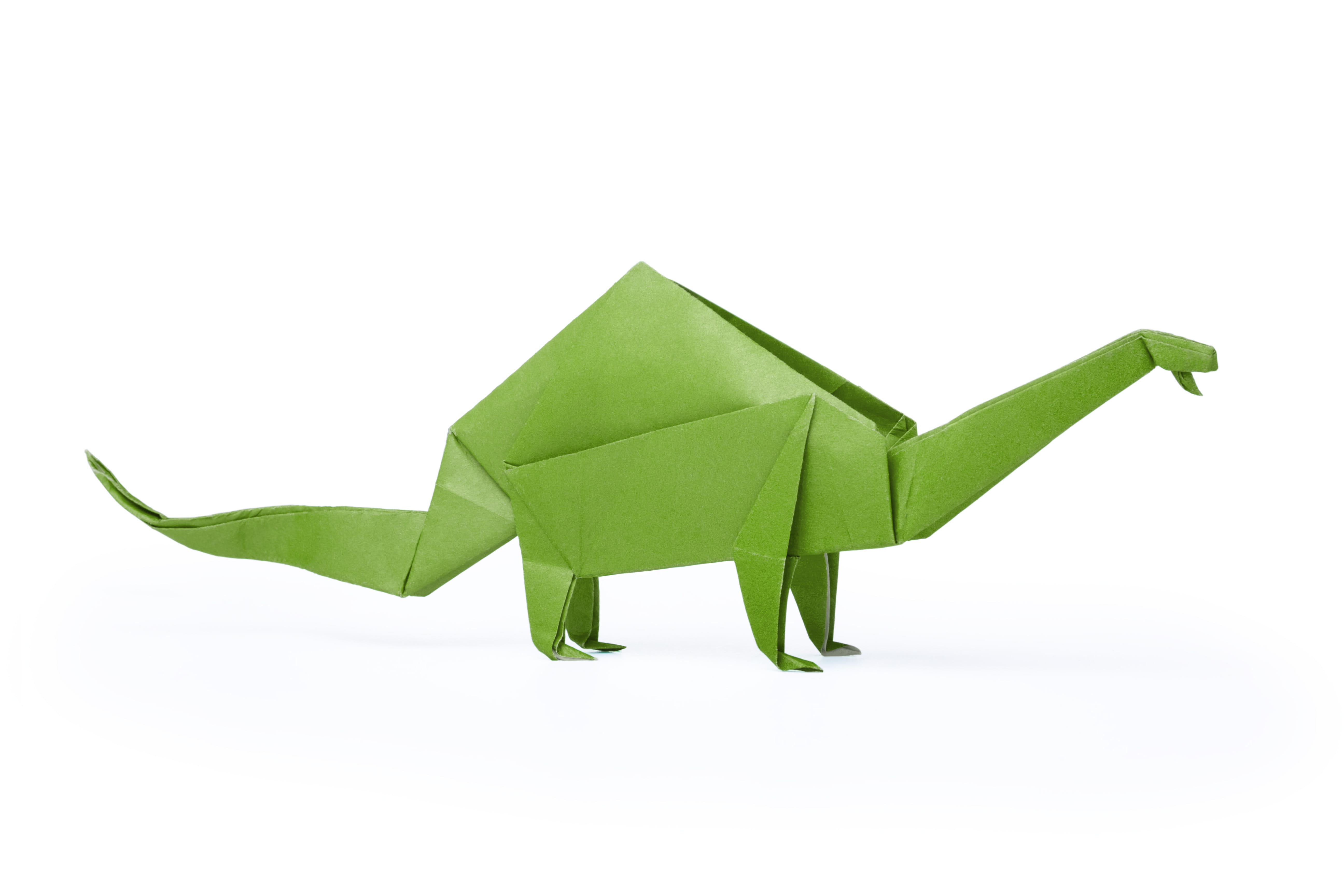 braunosaurus studios