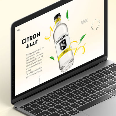 Solignac Vodka - Graphic Design