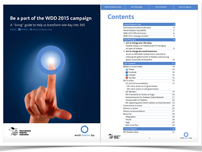 Year-round World Diabetes Day campaign - Markenbildung & Positionierung