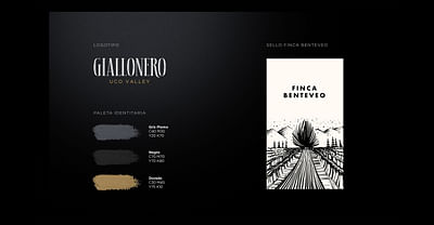 Wine Brand & Label Design - Packaging