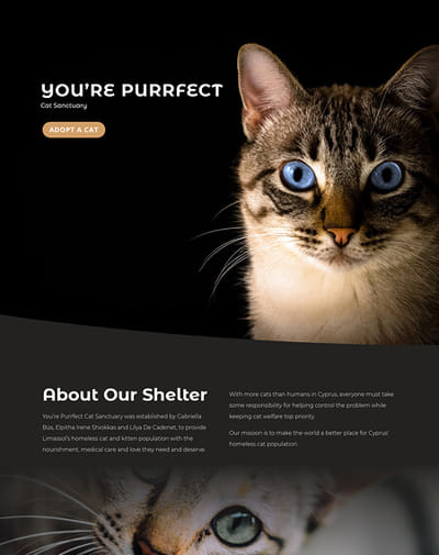 New Website for a Yourepurrfect.com - E-commerce