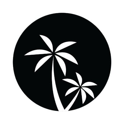 Two Palms - Social & Media Agency | Video Production