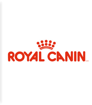 ROYAL CANIN - Branding y posicionamiento de marca
