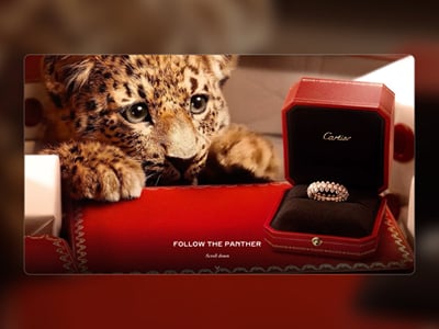 Cartier — Follow the Baby Panther - Webseitengestaltung