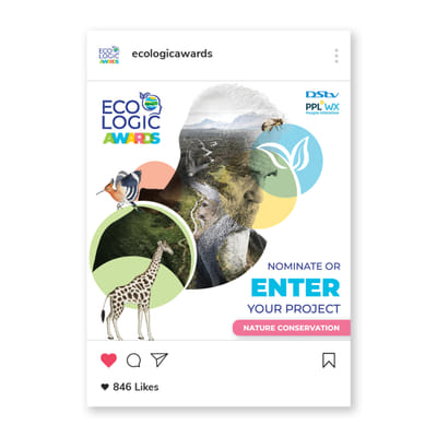 Selected social media campaign designs - Graphic Design