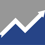 Internetagentur seo-leopard e.K. logo