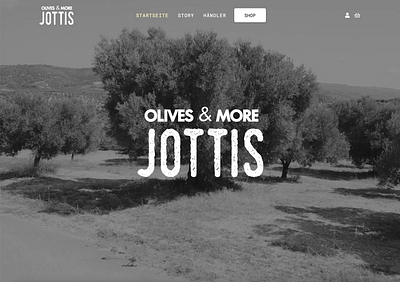Jottis Olivenöl - Webseitengestaltung