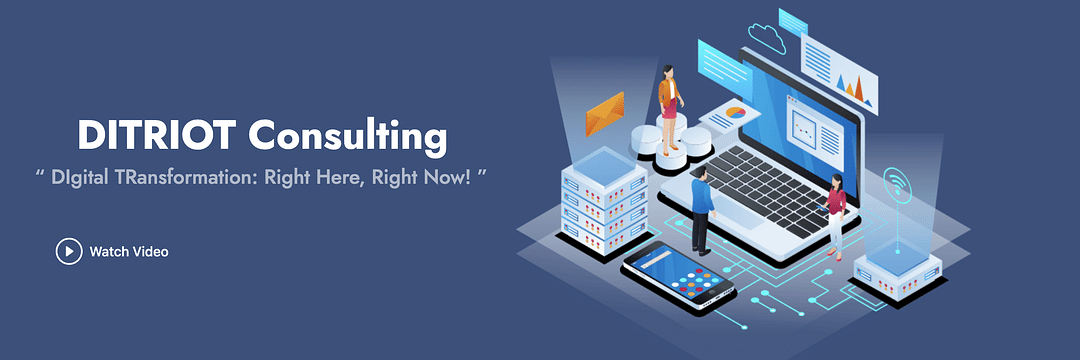 Ditriot Consulting cover