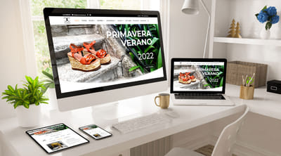 Zapatería Carmen Shoes - Website Creatie