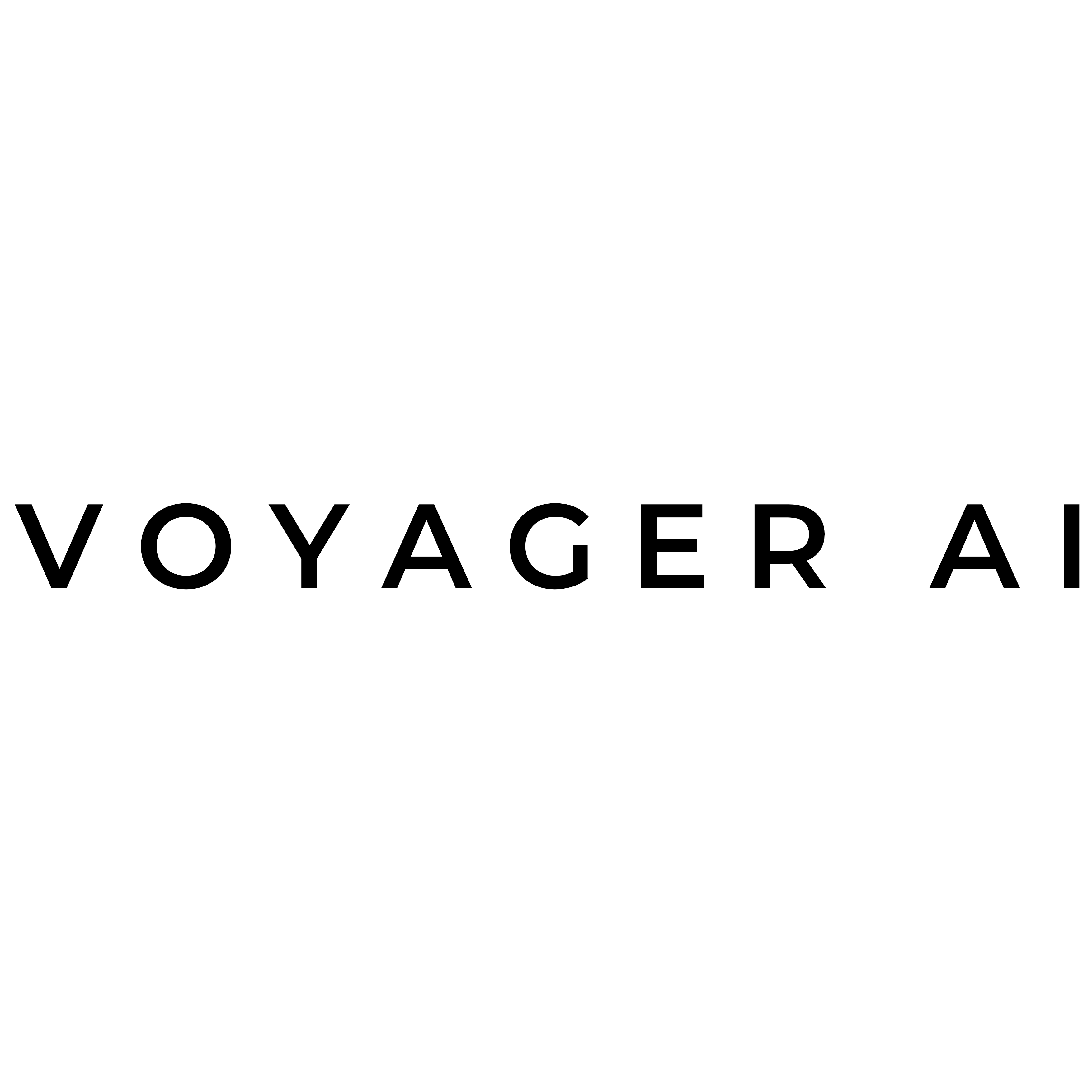 Voyager AI