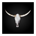 Texas GmbH & Co.KG