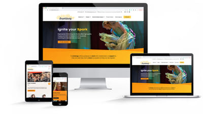 Brightsparks Co - Website Creatie
