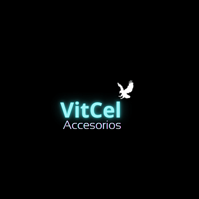 Vitcel Accesorios- Estrategia de redes sociales - Digitale Strategie