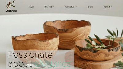 Website Creation - Creación de Sitios Web