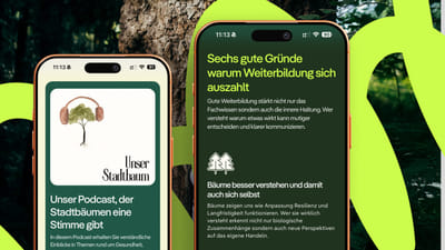 Eine Website, die Expertise, Haltung und Persönlichkeit vereint - Webseitengestaltung