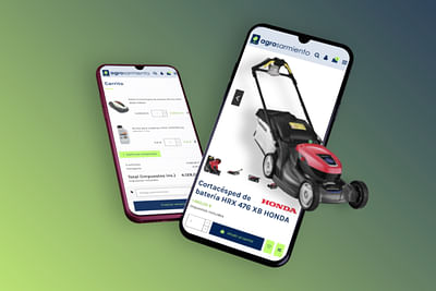 Desarrollo de un Ecommerce en Prestashop - Creazione di siti web