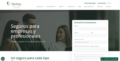SEO y SEM para la aseguradora Berkley España - Estrategia digital
