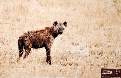 Hyena - Pubblicità