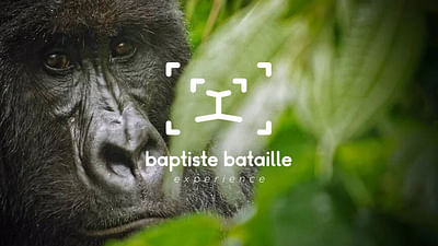 Baptiste Bataille - Identité & site web - Branding y posicionamiento de marca