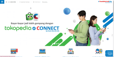Panin Daiichi Life - SEO