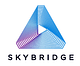 Skybridge International