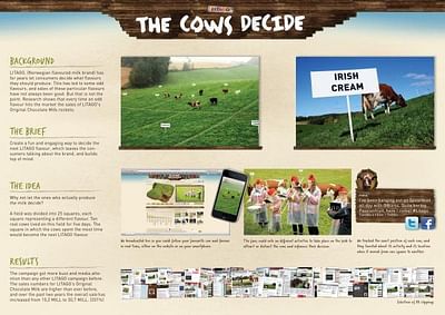THE COWS DECIDE - Webseitengestaltung