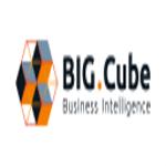 BIG.Cube GmbH Business Intelligence