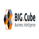 BIG.Cube GmbH Business Intelligence