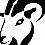 Capra Solutions