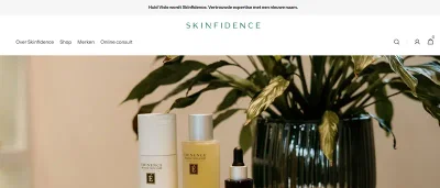 Skinfidence – Shopify Website Development & SEO - SEO