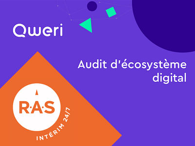 Audit d’écosystème digital - Consulenza dati