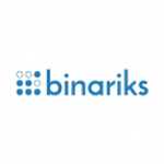Binariks Inc