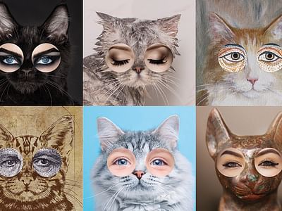 Poes - Motion Design
