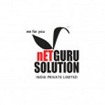 Netguru Solution India Pvt. Ltd. logo